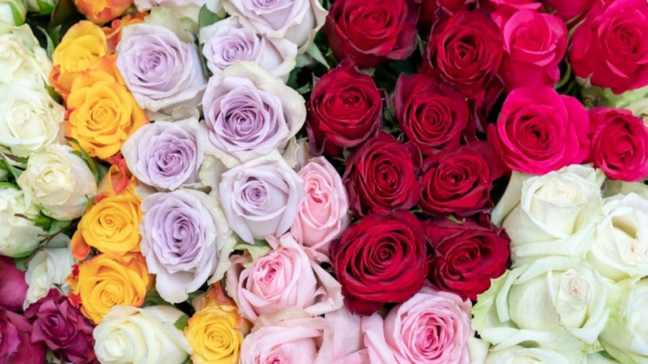 WhatsApp Image 2023-02-07 at 12.34.46 PM.jpeg