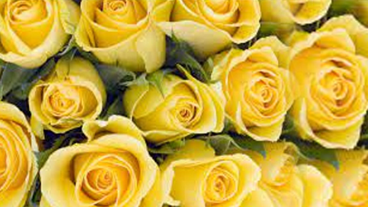 WhatsApp Image 2023-02-07 at 12.34.47 PM (3).jpeg