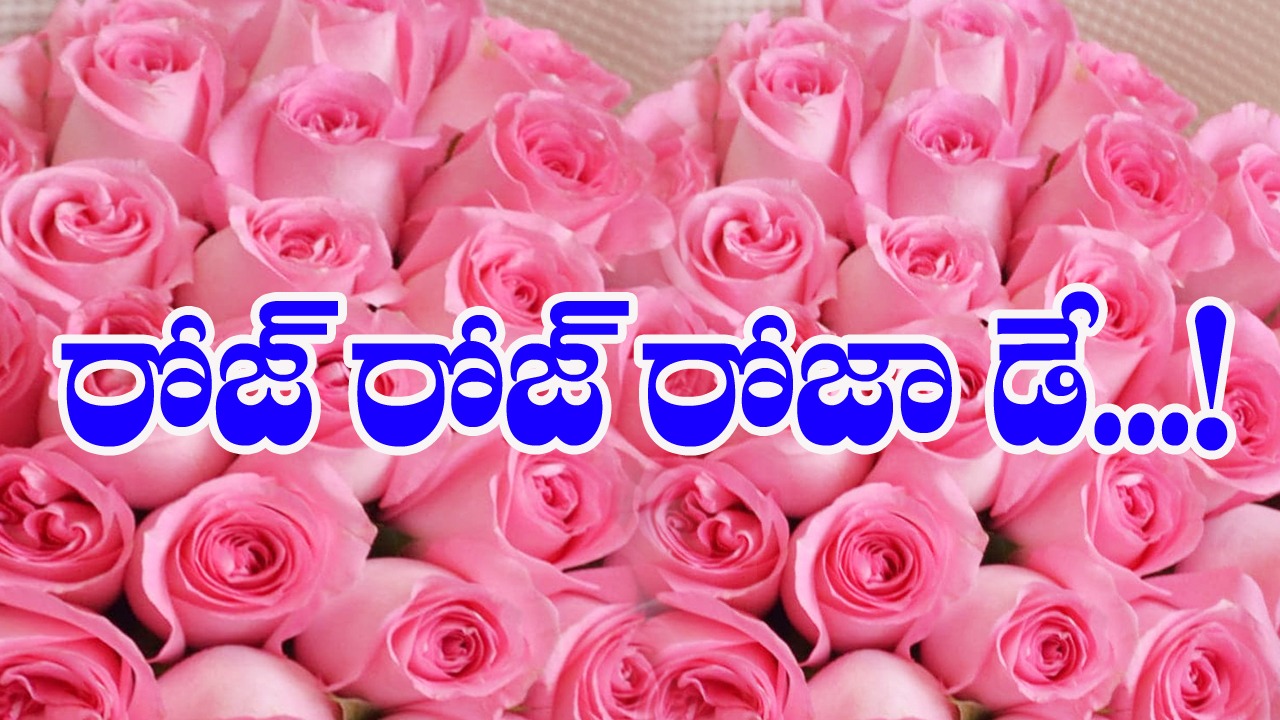 WhatsApp Image 2023-02-07 at 12.34.47 PM.jpeg