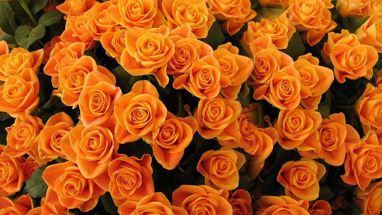 WhatsApp Image 2023-02-07 at 12.34.48 PM (1).jpeg