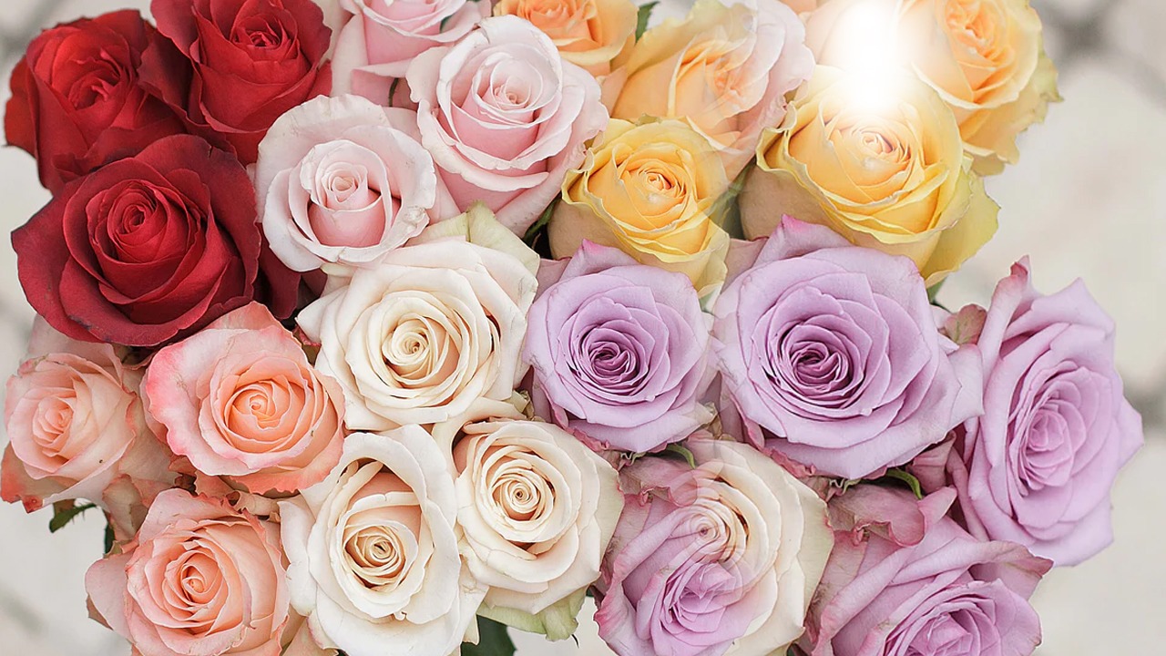 WhatsApp Image 2023-02-07 at 12.34.48 PM (2).jpeg