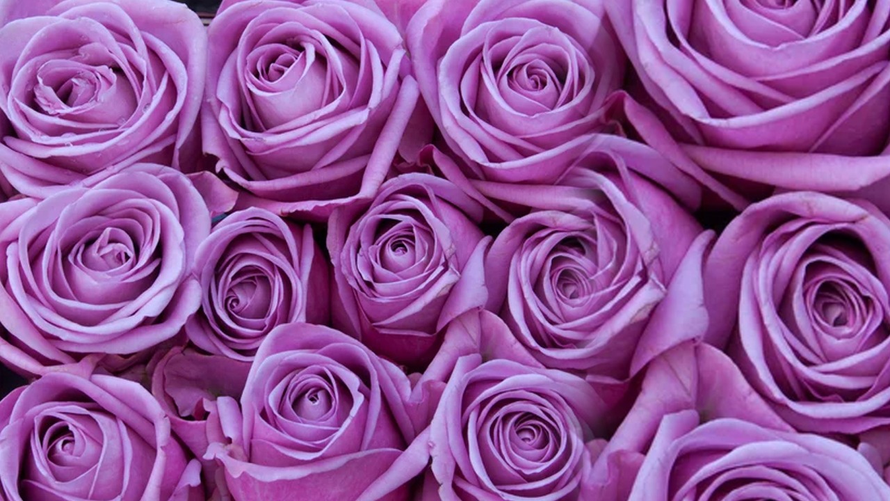 WhatsApp Image 2023-02-07 at 12.34.48 PM (3).jpeg