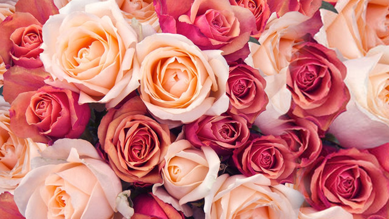 WhatsApp Image 2023-02-07 at 12.34.48 PM (6).jpeg