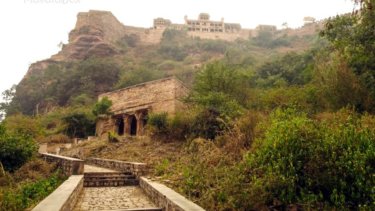 WhatsApp Image 2023-02-07 at 2.50.08 PM.jpeg