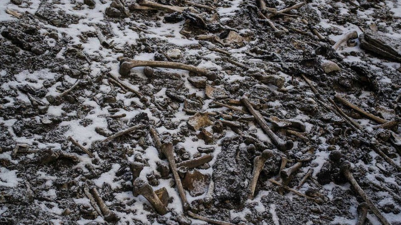 WhatsApp Image 2023-02-12 at 1.46.56 PM.jpeg