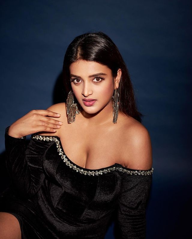 Nidhhi Agerwal (9).jpg