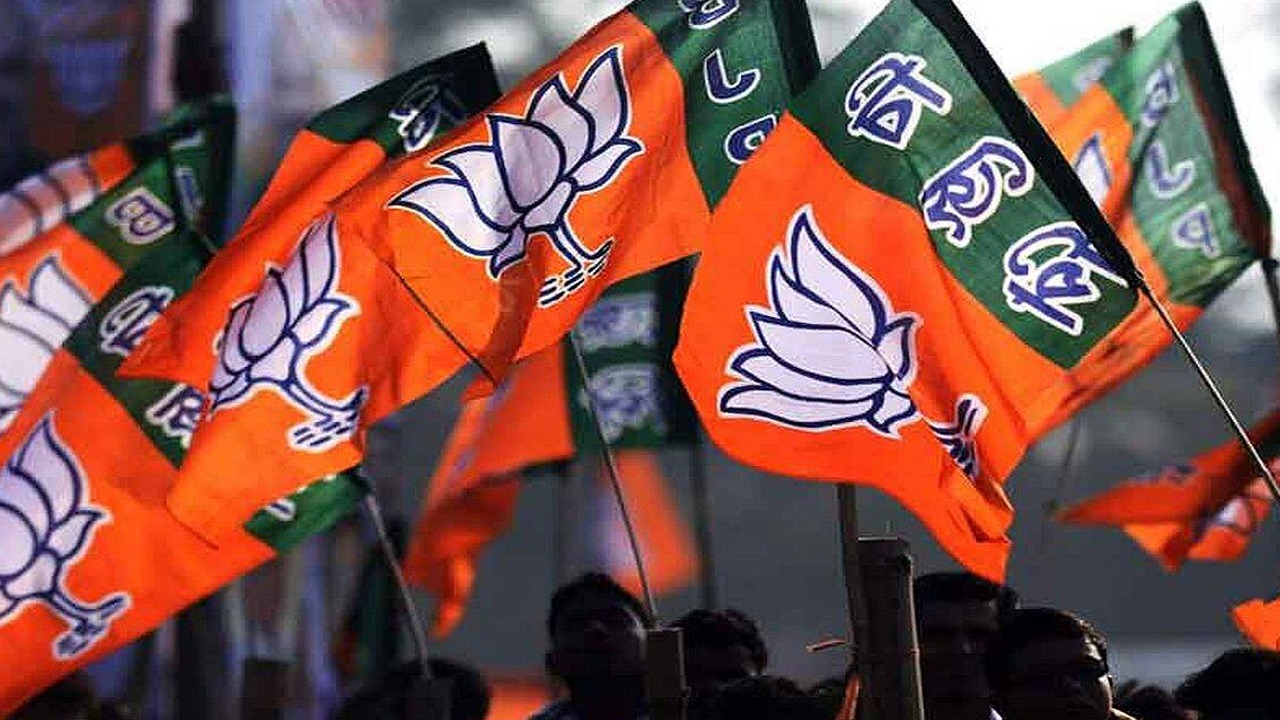 WhatsApp Image 2023-05-27 at 9.11.41 PM.jpeg