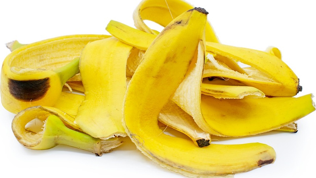 WhatsApp Image 2023-06-08 at 10.30.47 AM.jpeg