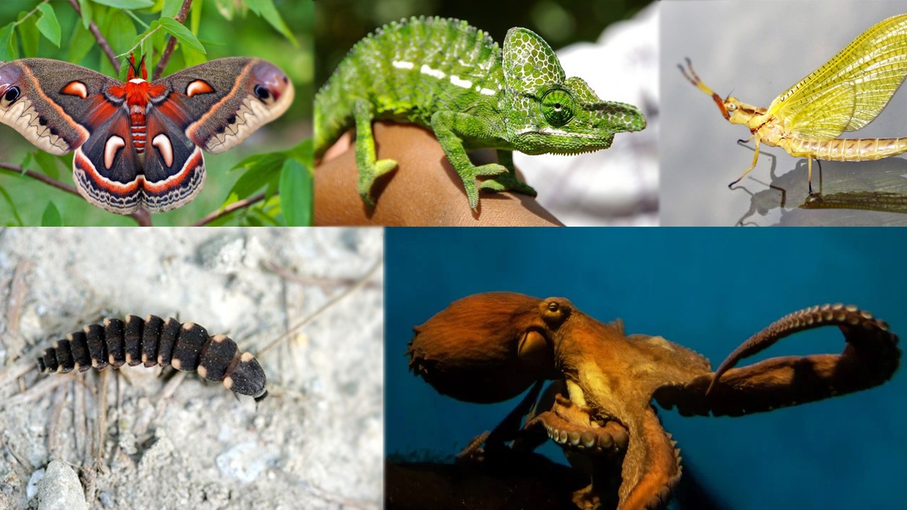 WhatsApp Image 2023-07-01 at 12.05.04 PM.jpeg