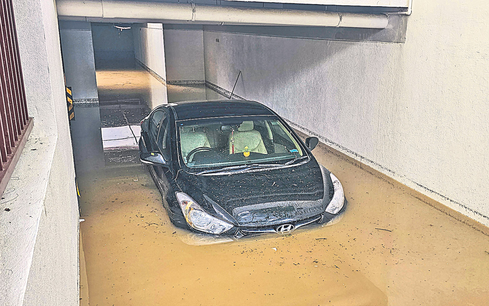 1car.jpg