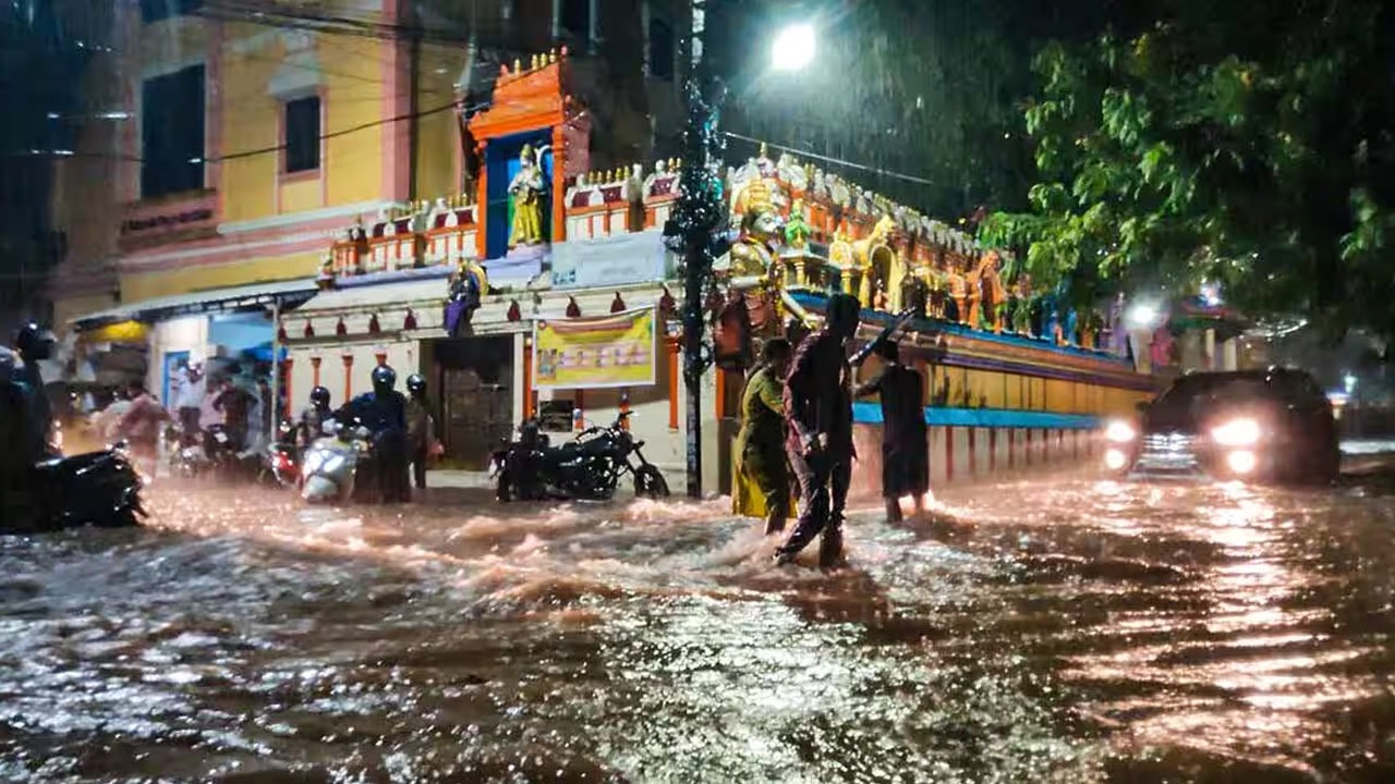 WhatsApp Image 2023-07-24 at 5.56.45 PM (1).jpeg