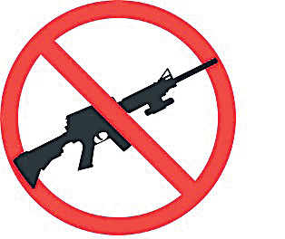 2gun11.jpg