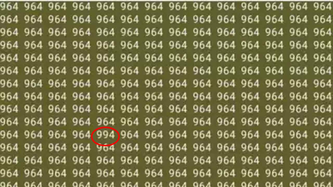 WhatsApp Image 2024-08-18 at 11.11.55 AM.jpeg