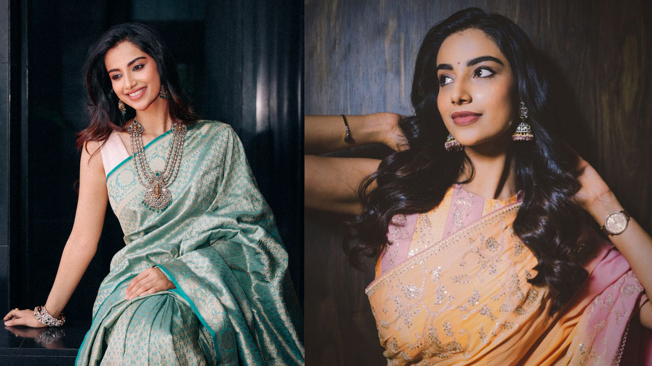 Meenakshi Chaudhary