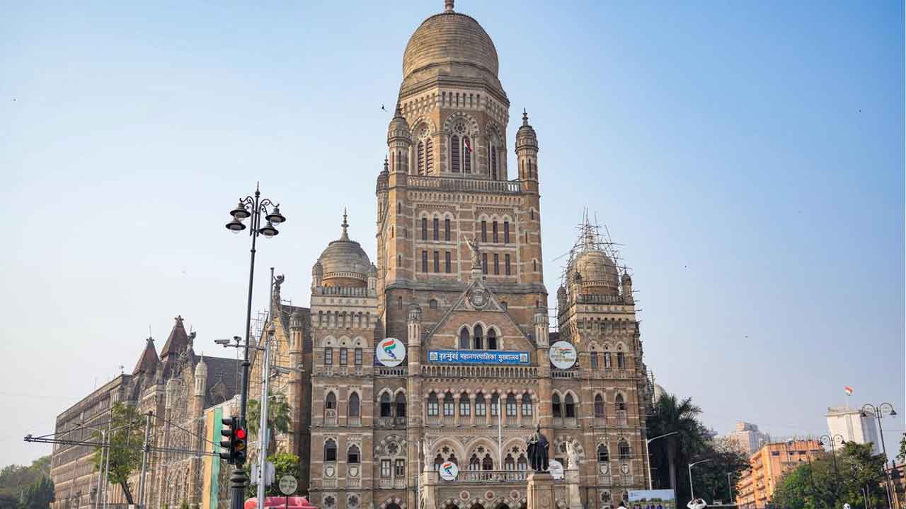 BMC-Elections-2.jpg