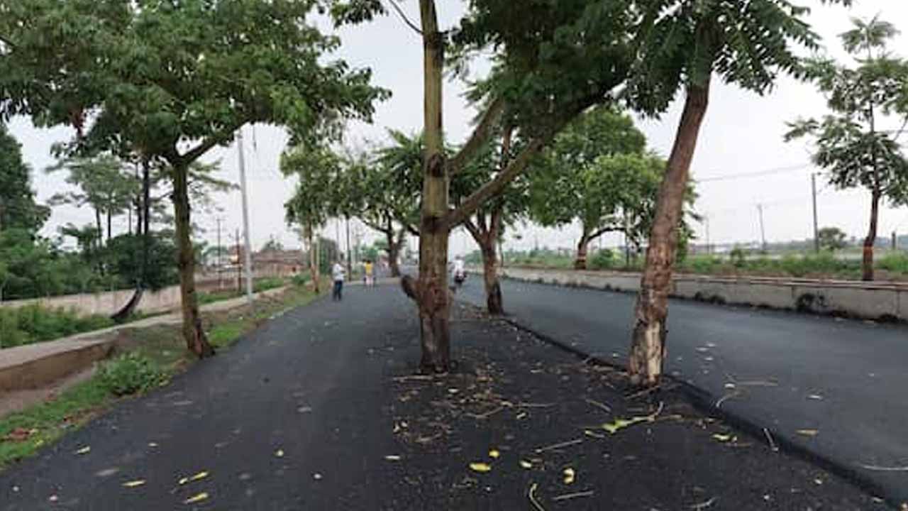 Bihar-2.jpg