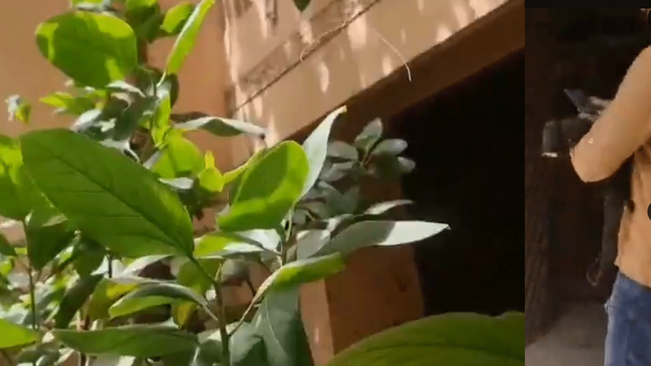 Clues-team-2.gif