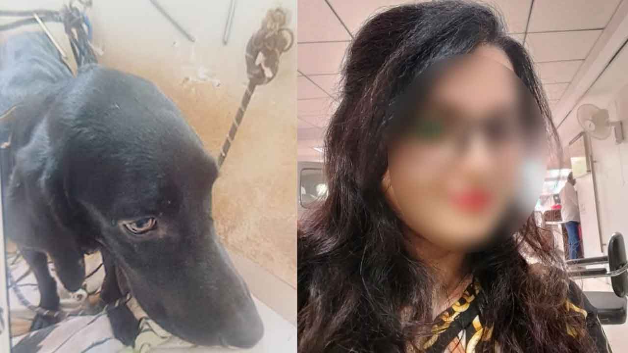 Dog-2.jpg