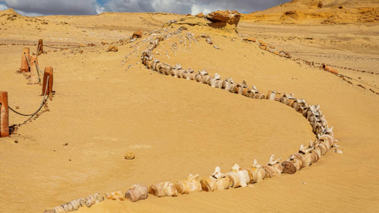 egypt2.jpg