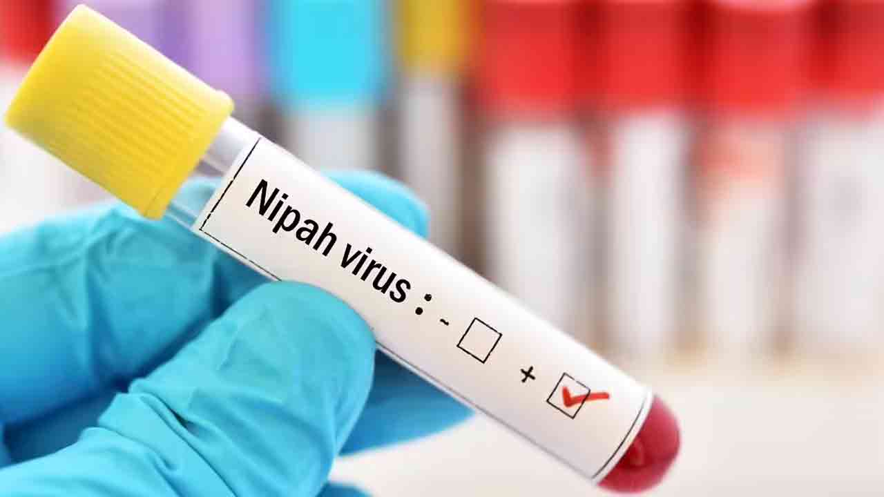nipah.jpg
