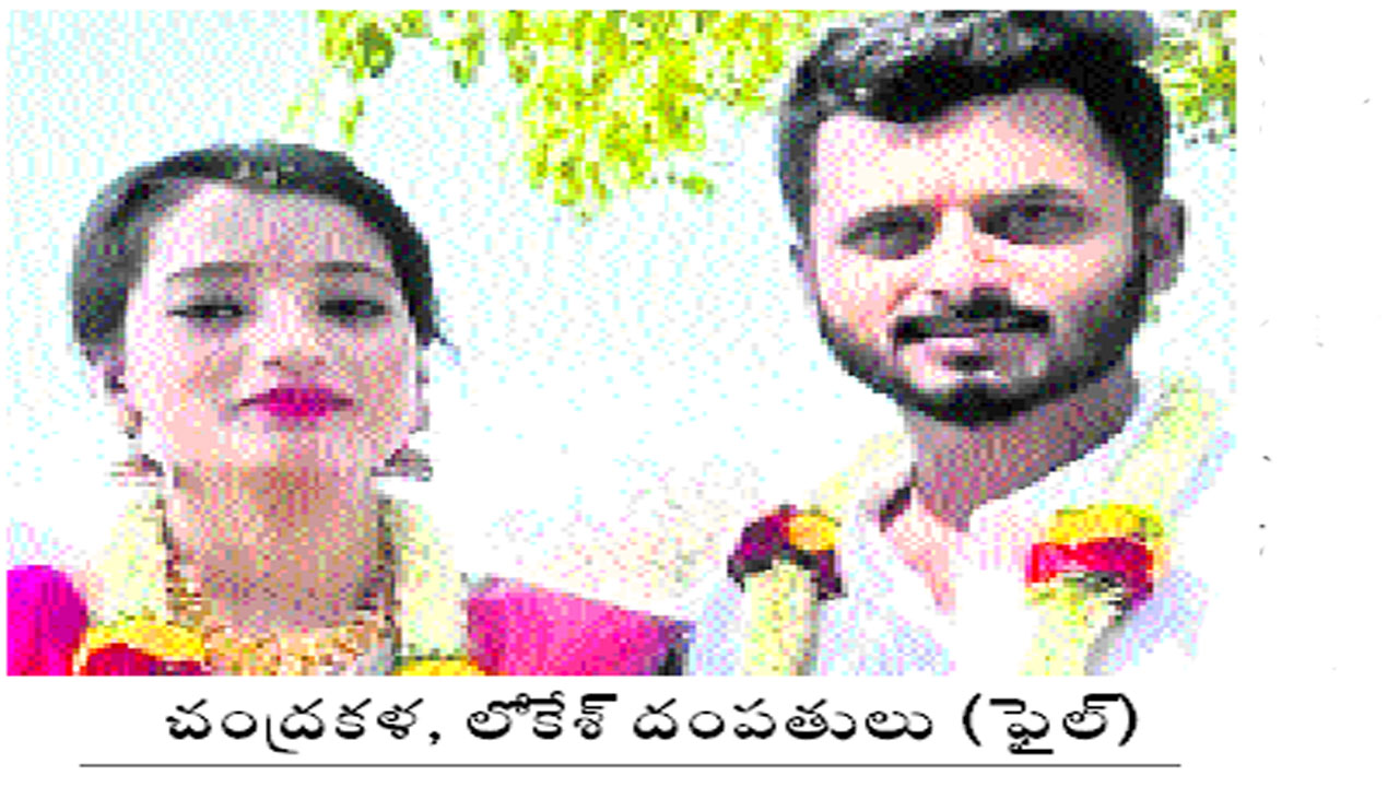 pandu1.2.jpg