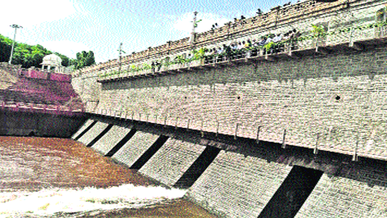 pandu3.gif