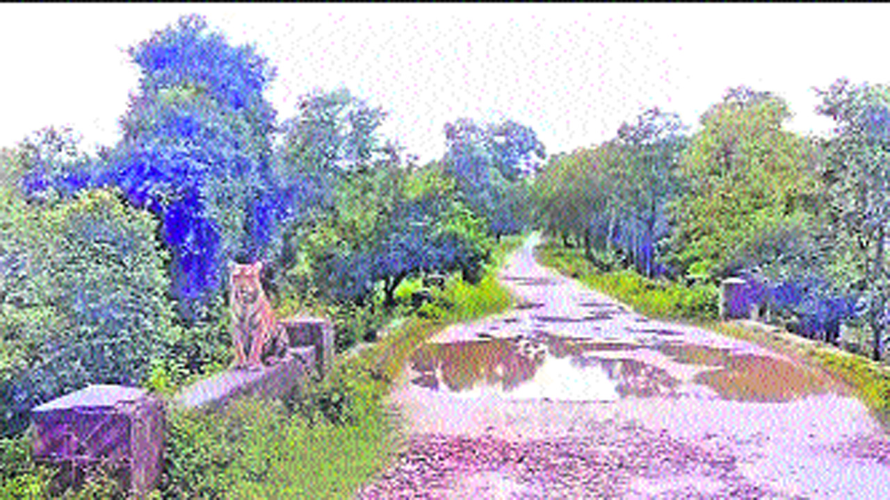 pandu4.jpg