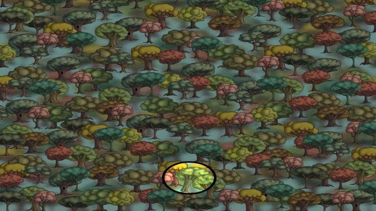 puzzle2.jpg