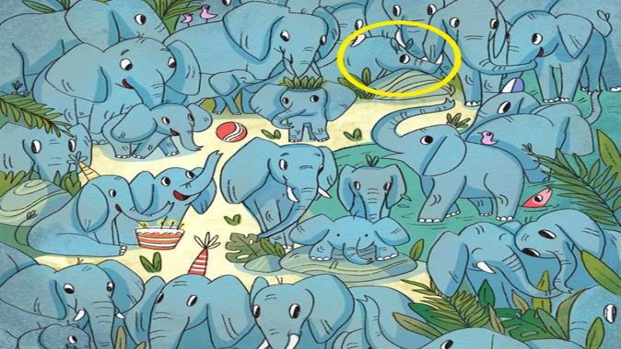 puzzle2.jpg