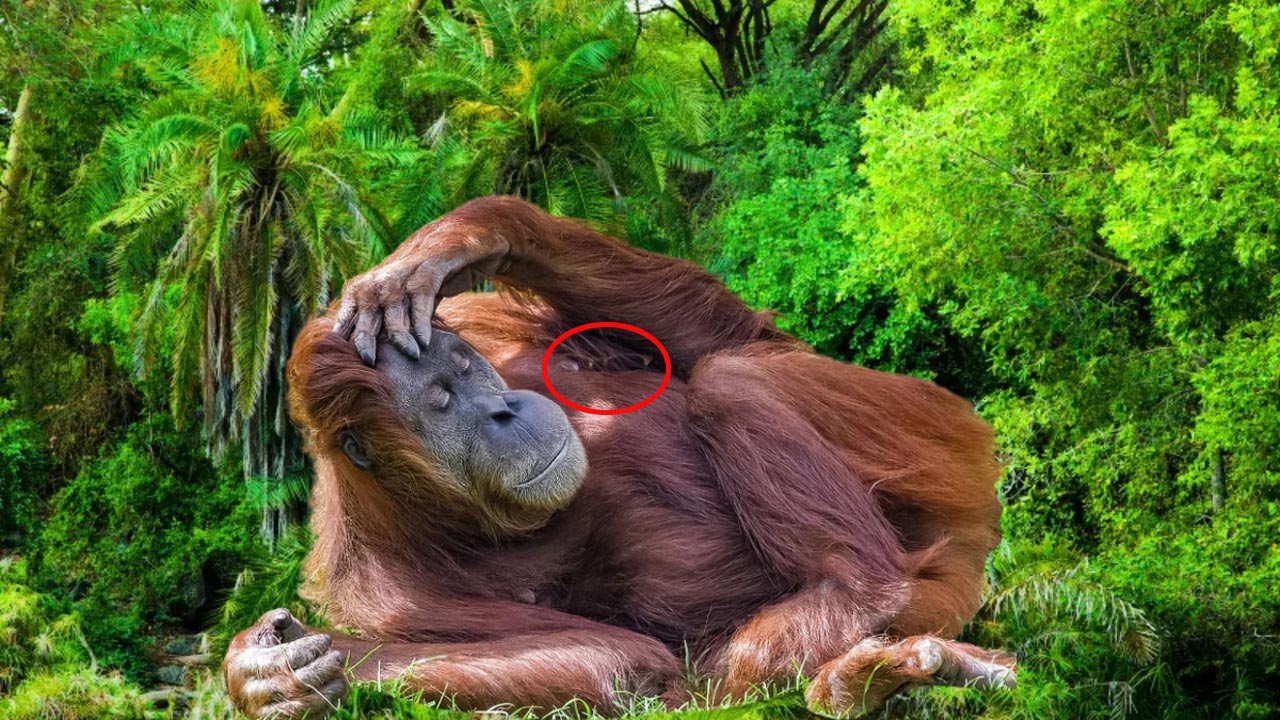 puzzle2.jpg