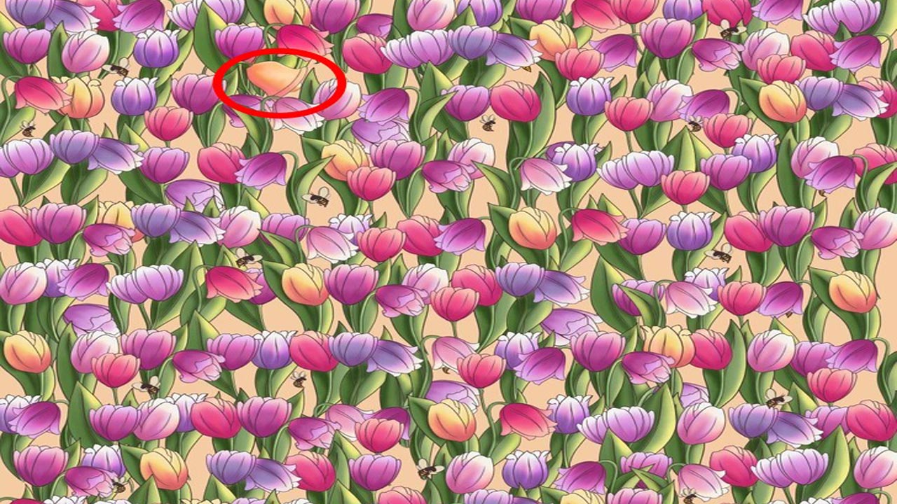 puzzle2.jpg