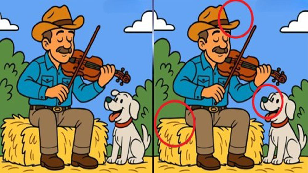 puzzle4.jpg