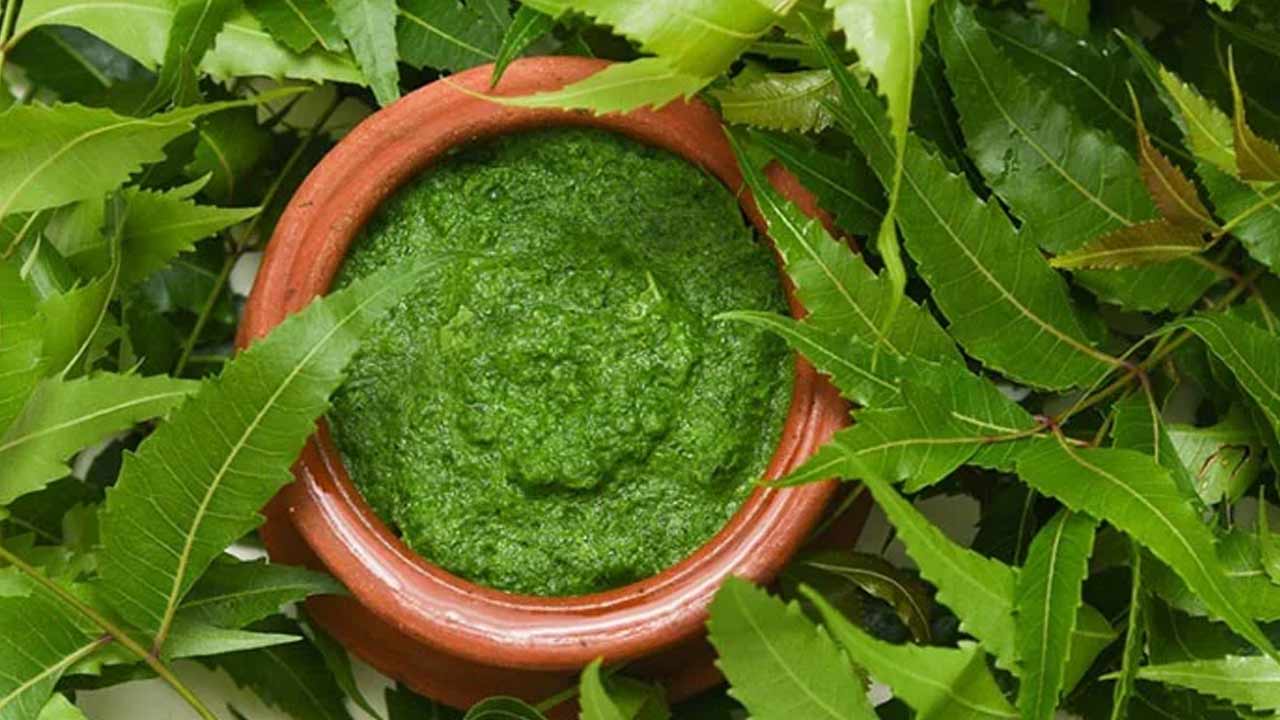 Neem-Leaves.jpg