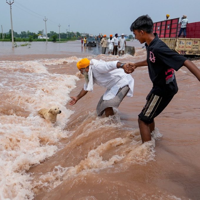 punjab floods.jpeg