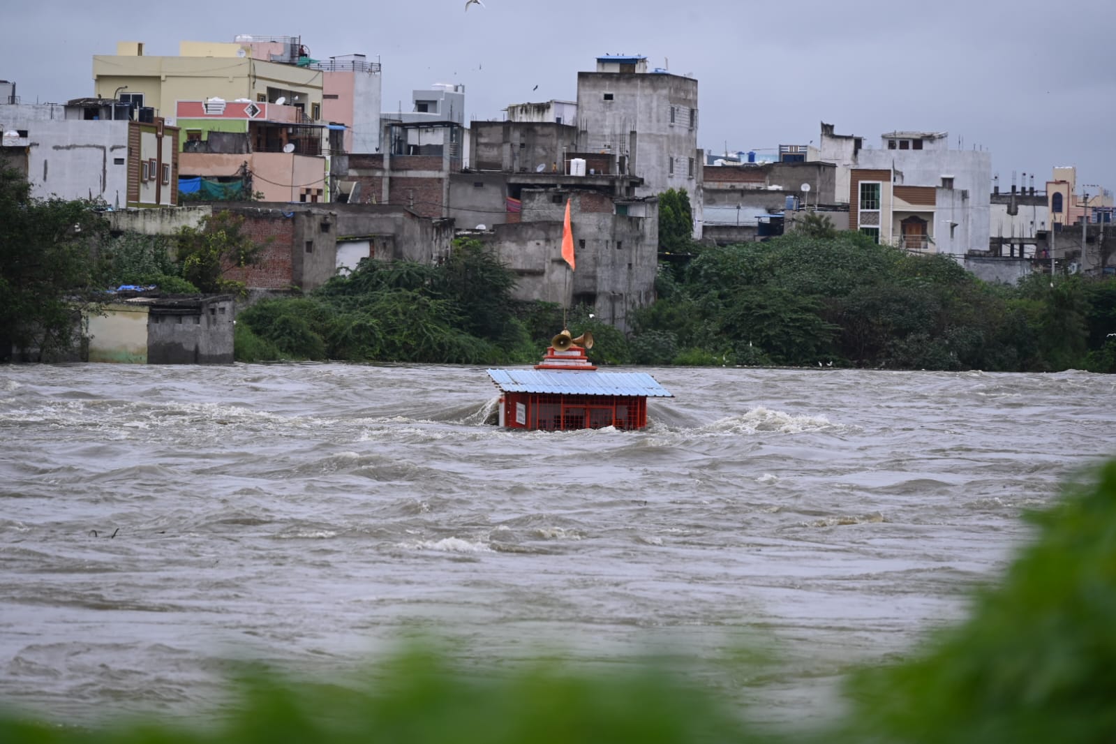 WhatsApp Image 2025-09-27 at 12.57.39 PM.jpeg