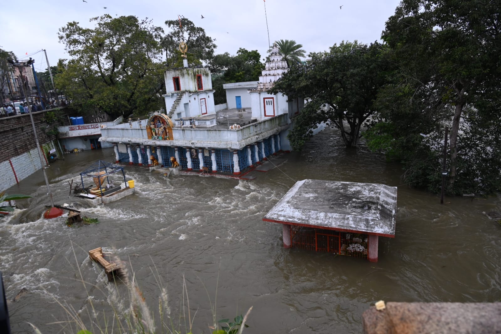 WhatsApp Image 2025-09-27 at 12.57.41 PM (1).jpeg