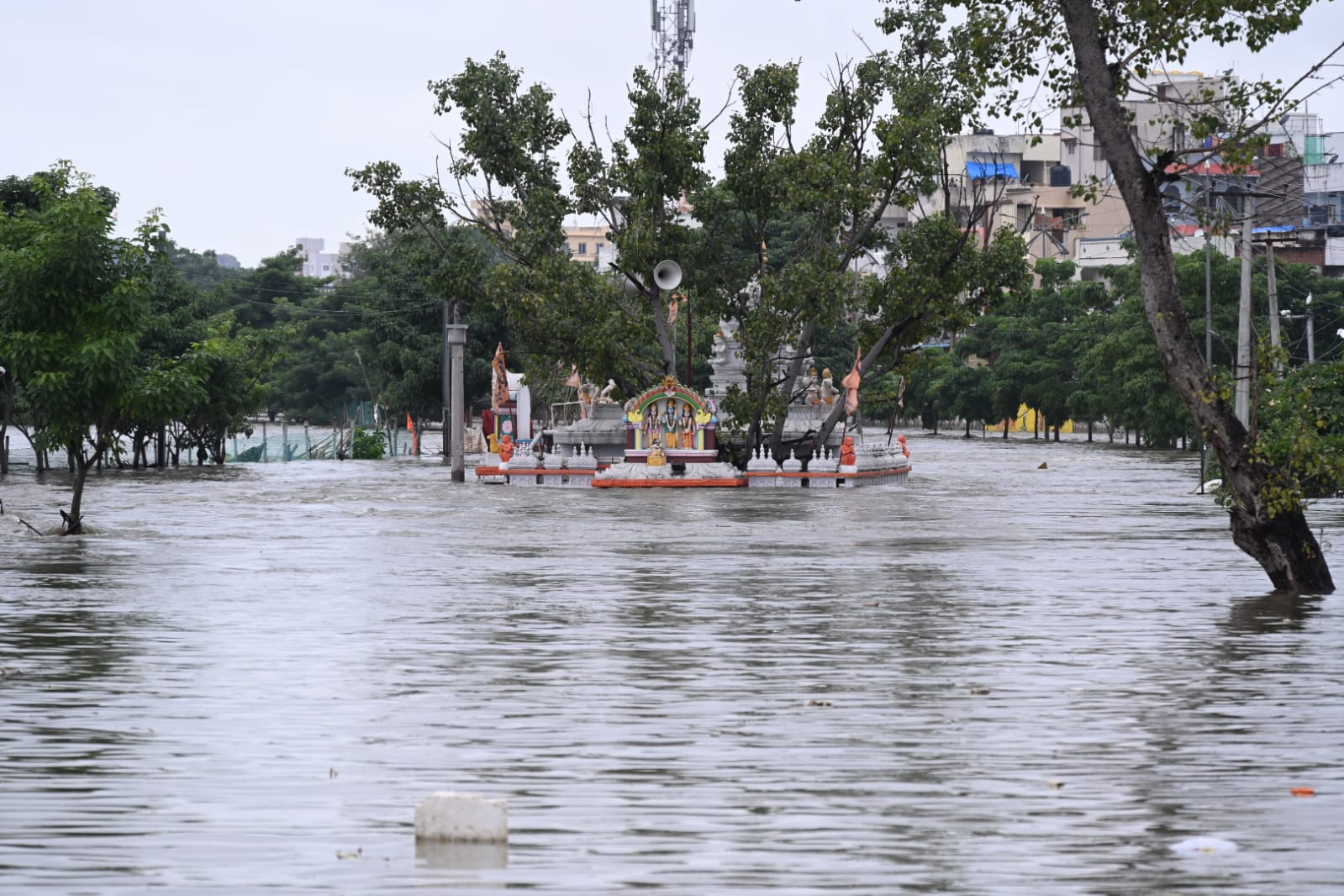 WhatsApp Image 2025-09-27 at 12.57.41 PM.jpeg