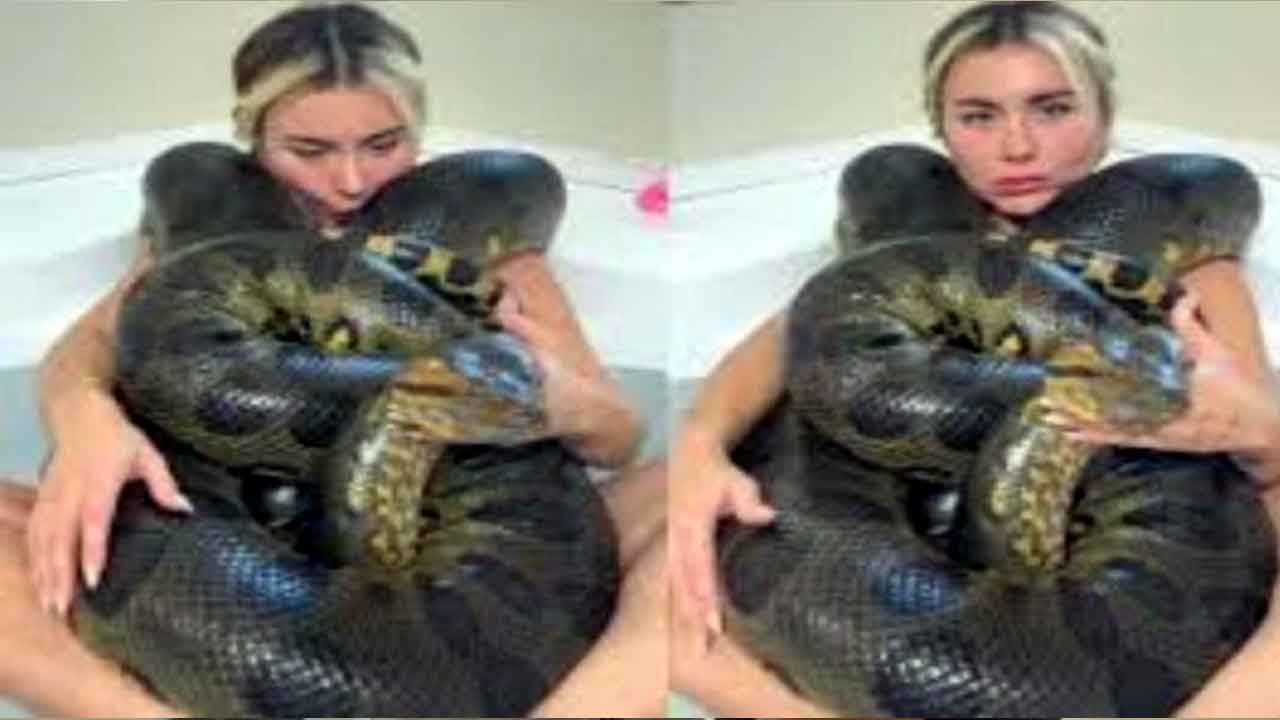 One-Girl-One-Anaconda.jpg