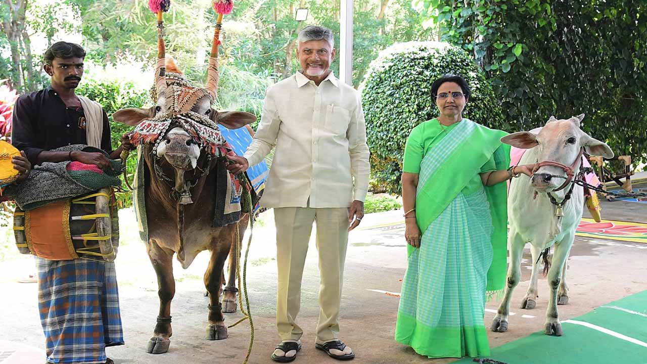 Chandrababu1.jpg