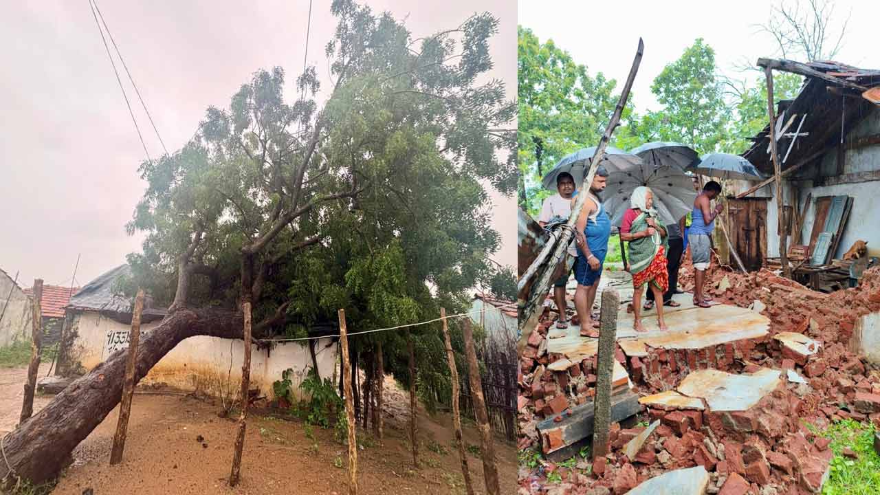 Bhupalaphally5.jpg