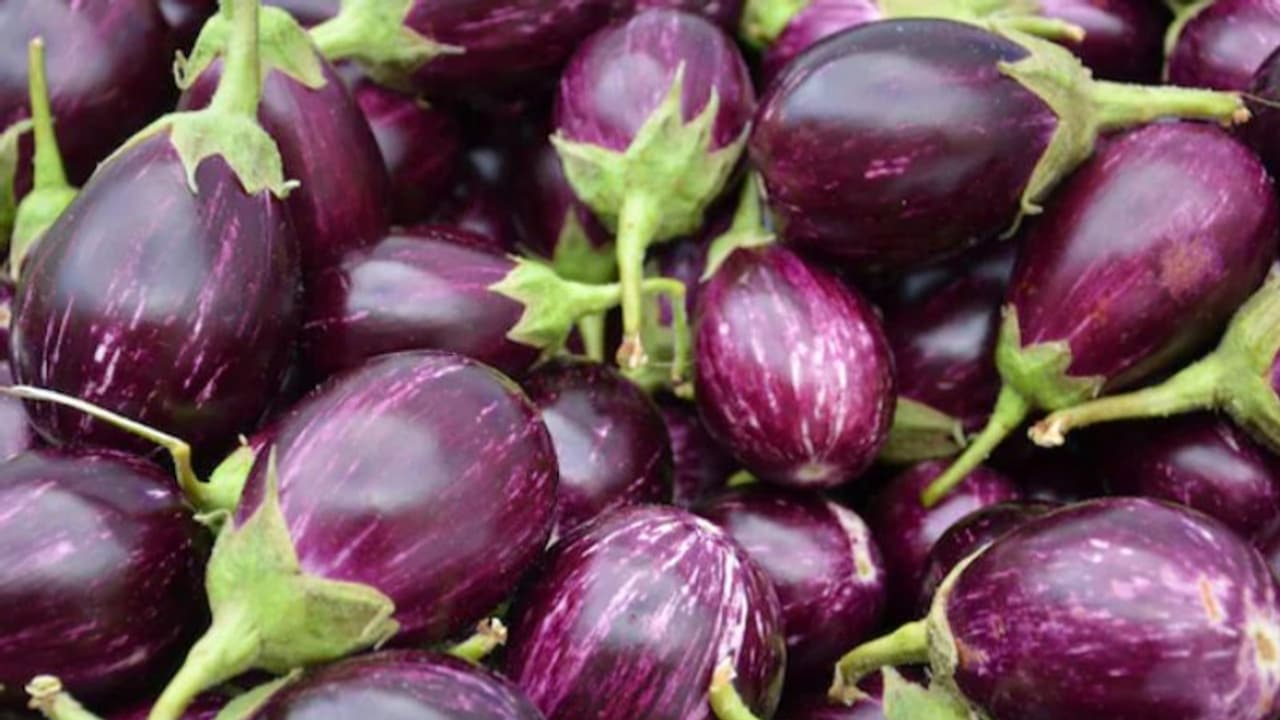 Brinjal.jpg