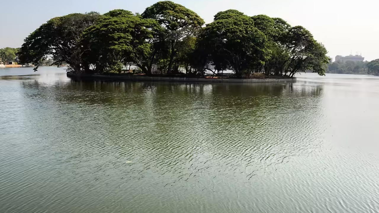 Lake.jpg