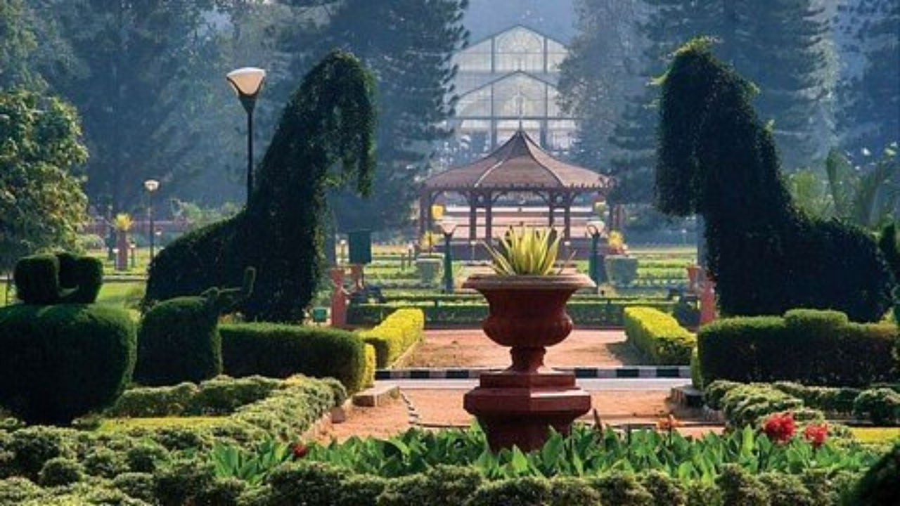 Park.jpg