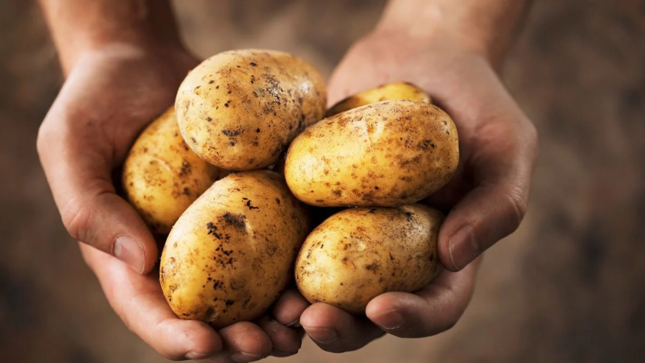 Potato.jpg