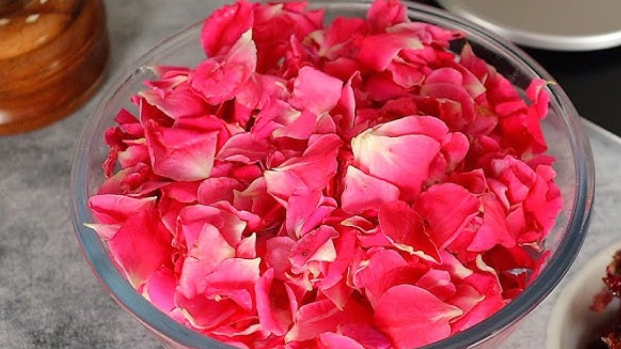 Rose.jpg