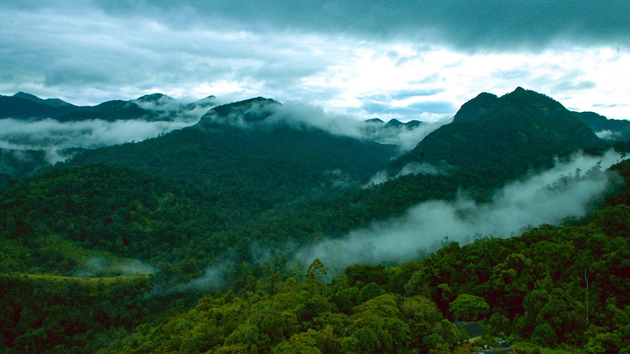 Silent Valley.jpg