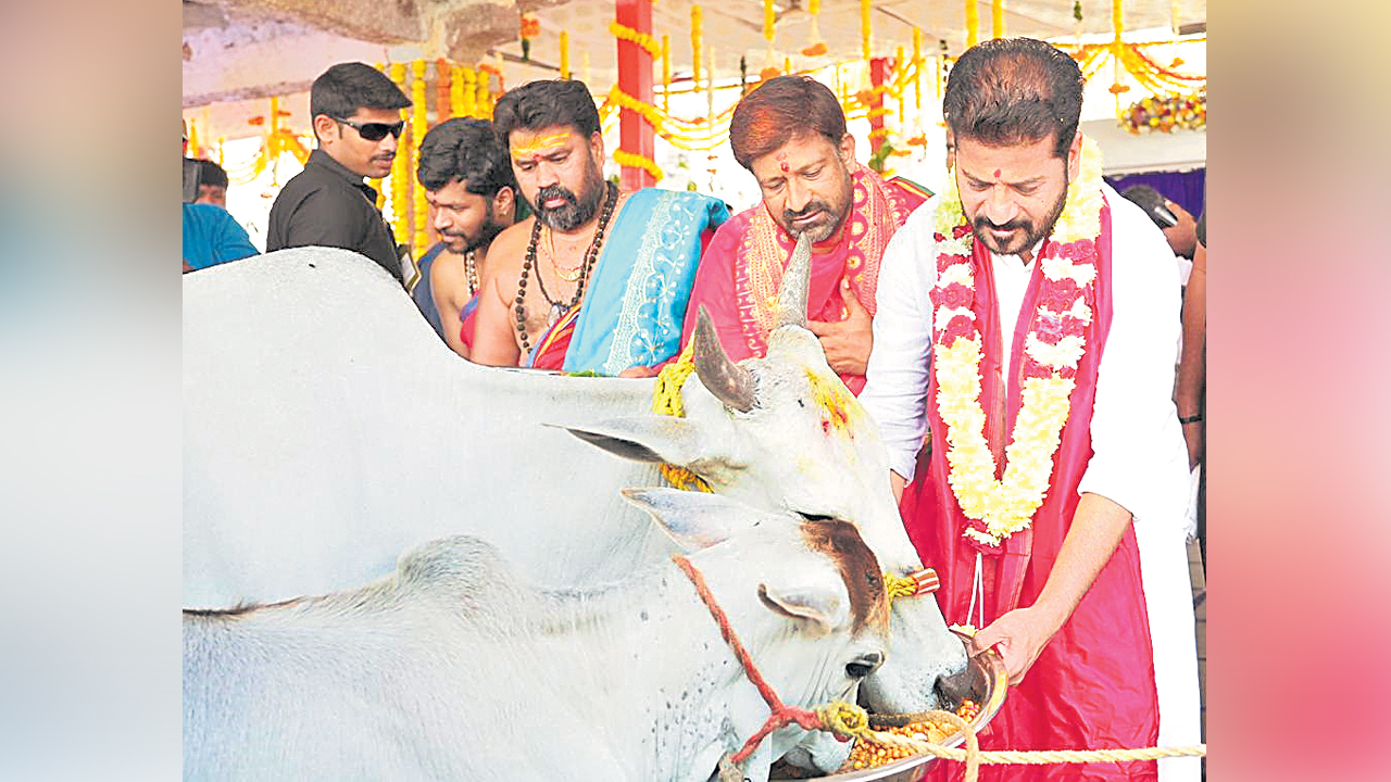 Untitled-10 copy.jpg