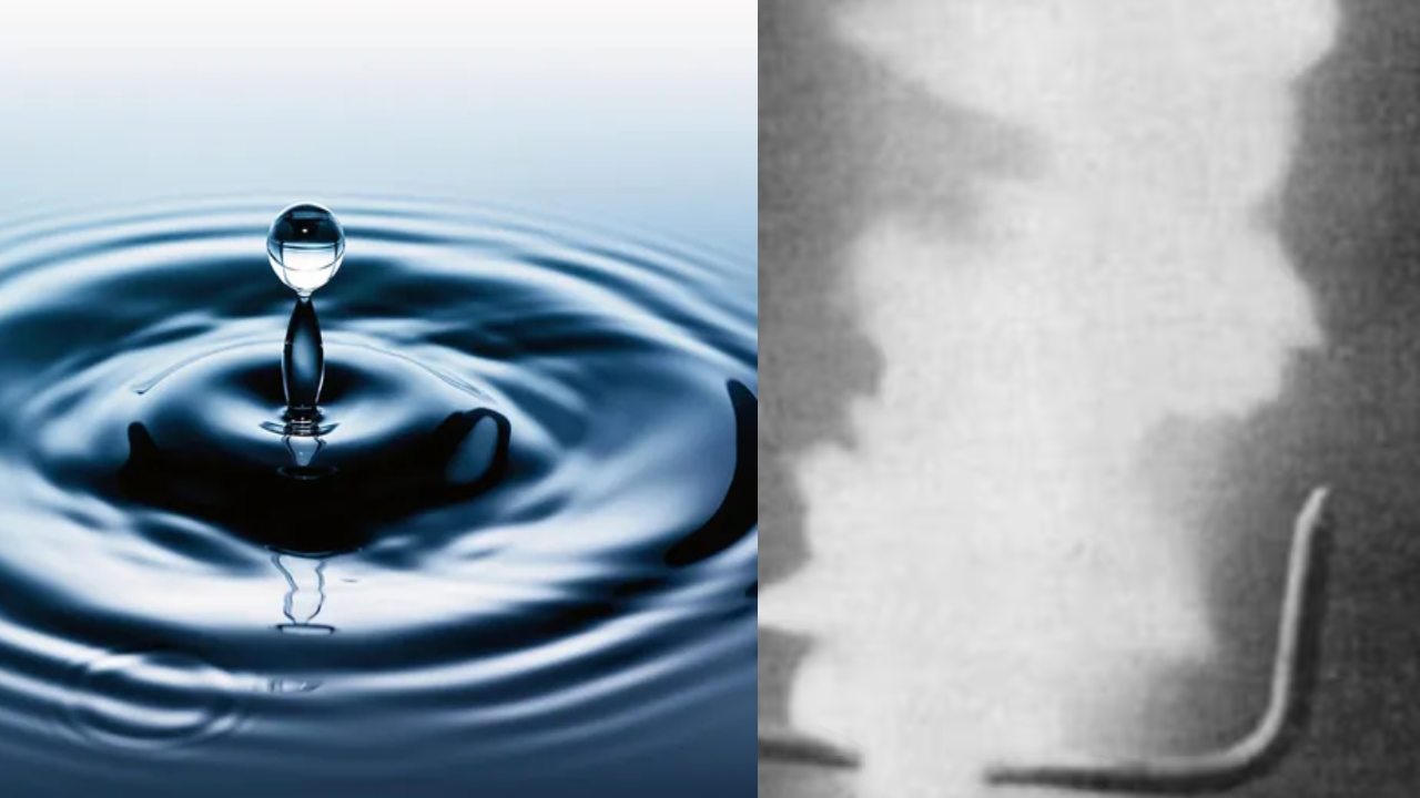 Water 2.jpg
