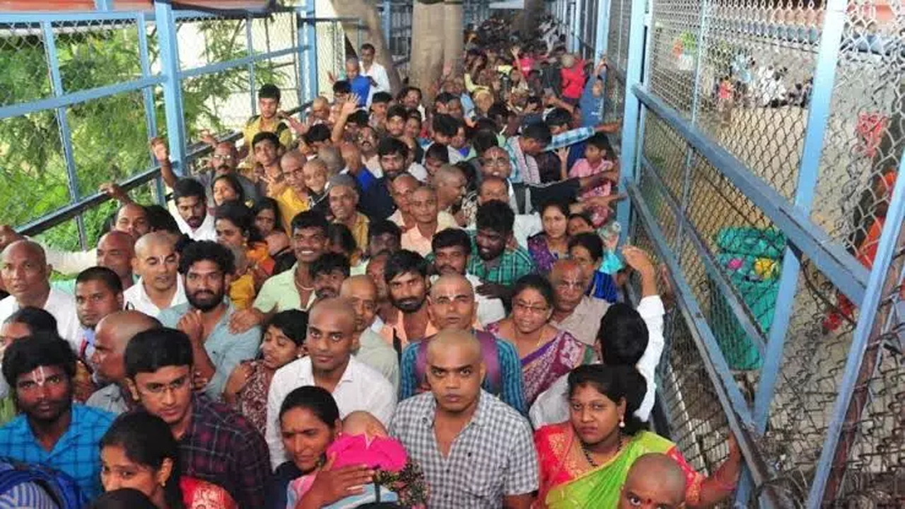 bala2.jpg