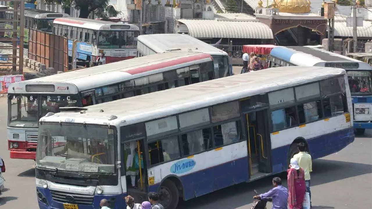 city5.2.jpg